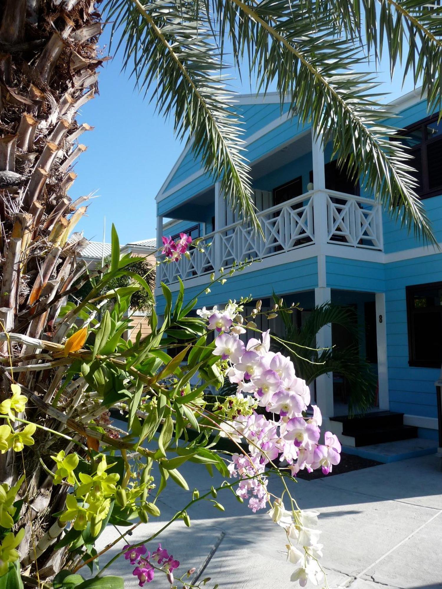 Buccaneer Beach Club Dickenson Bay Extérieur photo