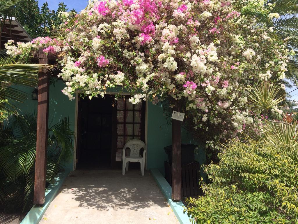 Buccaneer Beach Club Dickenson Bay Extérieur photo