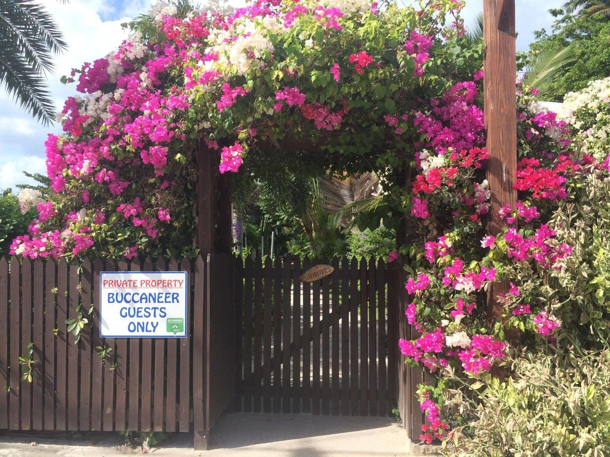 Buccaneer Beach Club Dickenson Bay Extérieur photo